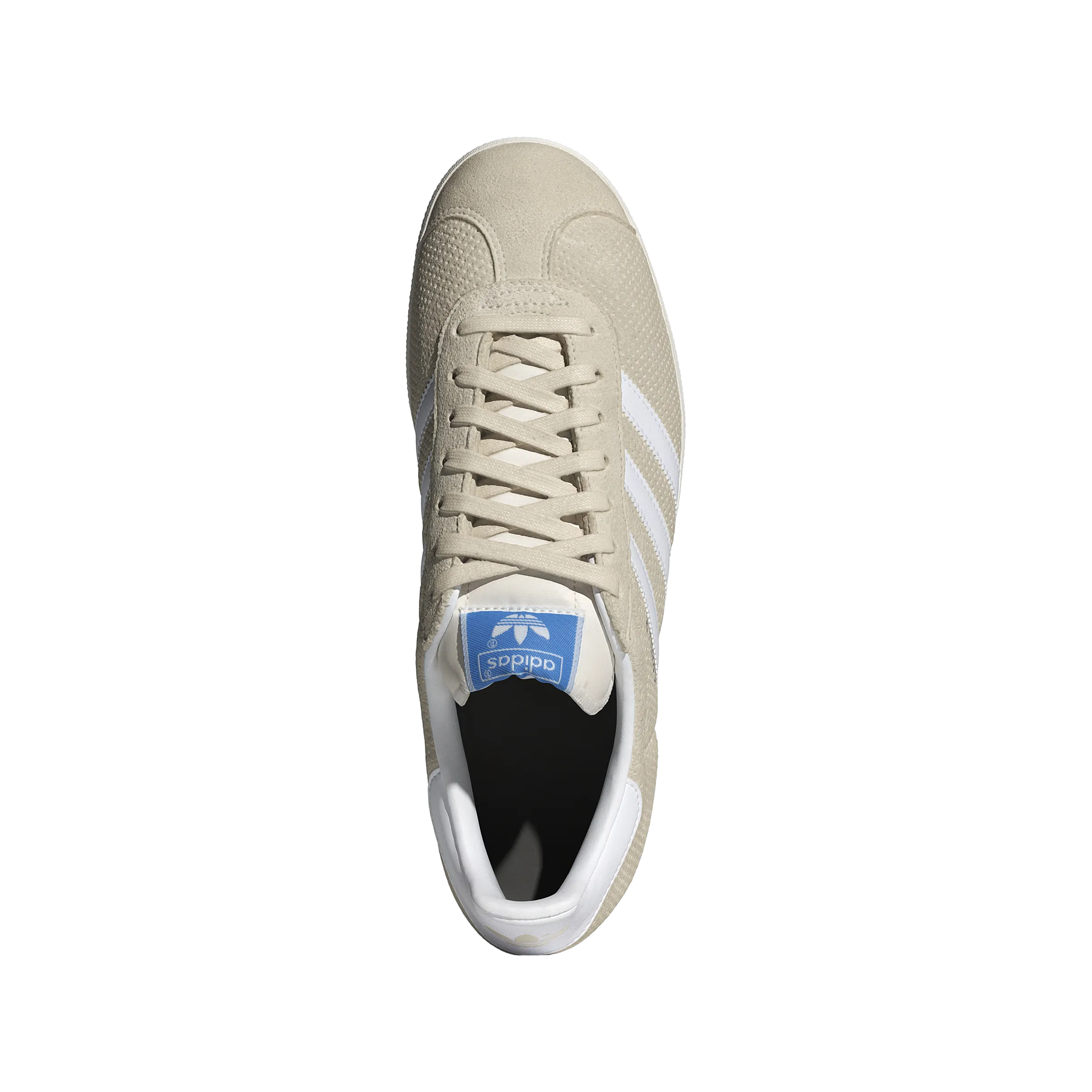 Gazelle 'Wunder Weiß'
