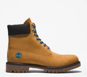 Timberland 6