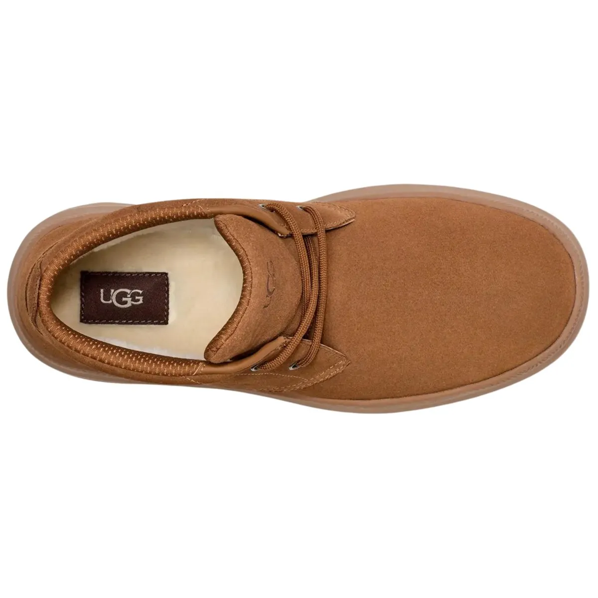 UGG Herren Burleigh Chukka Kastanienbraun